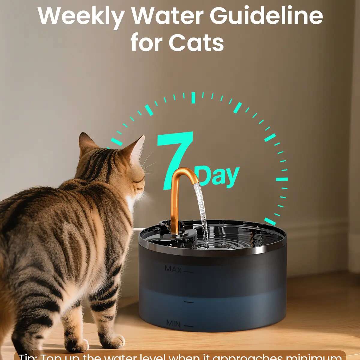 Silent Filtered Cat Water Fountain