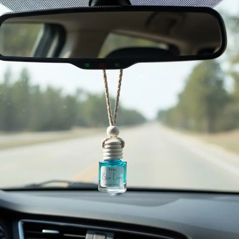 R&W CO. Car Air Fresheners — 3 Random Scents