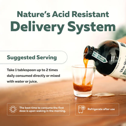 Rebalance Your Gut Microbiome with Live Postbiotics & Enzymes