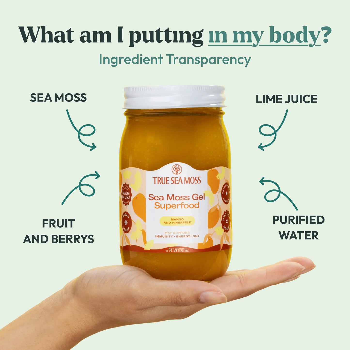 Revitalize Your Body with Pure Wildcrafted Sea Moss Gel