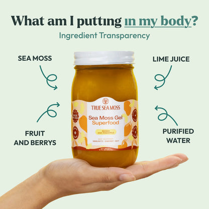 Revitalize Your Body with Pure Wildcrafted Sea Moss Gel