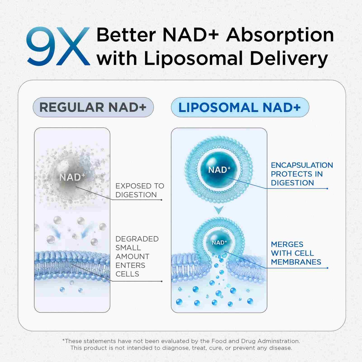 Liposomal NAD+ Supplement — Energy & Anti-Aging