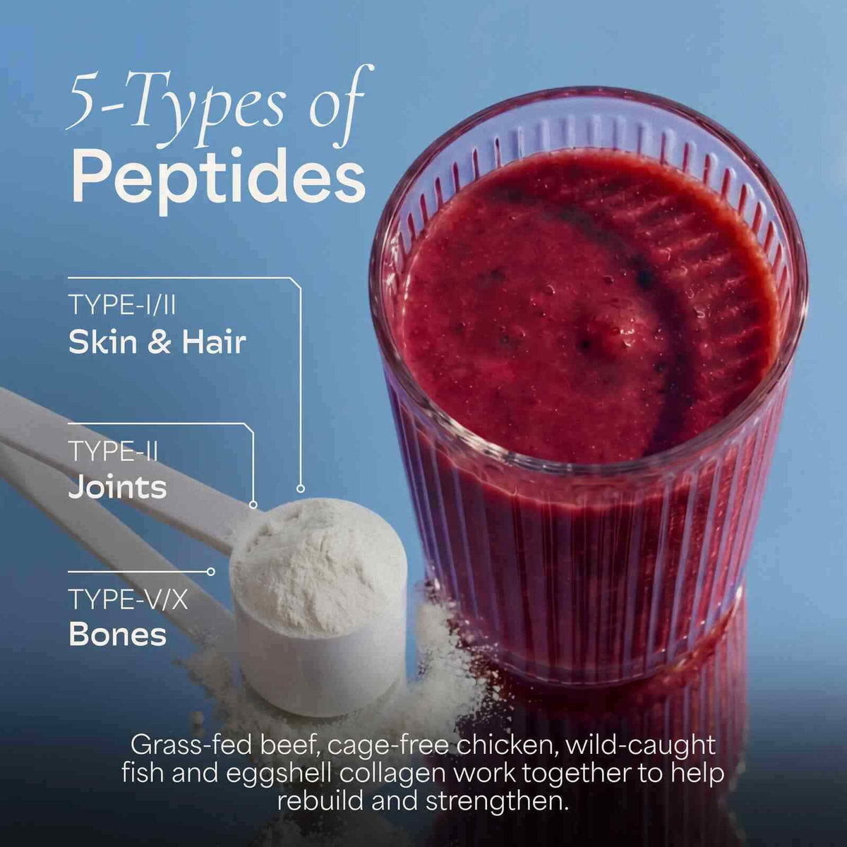 5-Type Multi-Source Hydrolyzed Collagen Powder