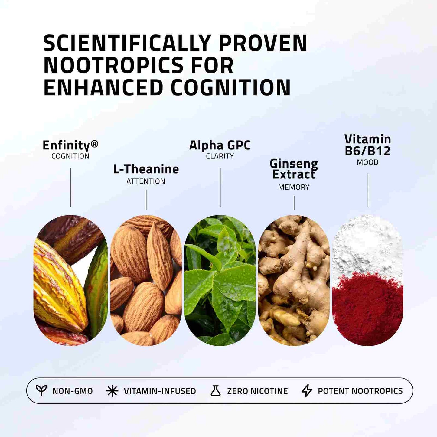 Nicotine-Free Focus Energy Pouches