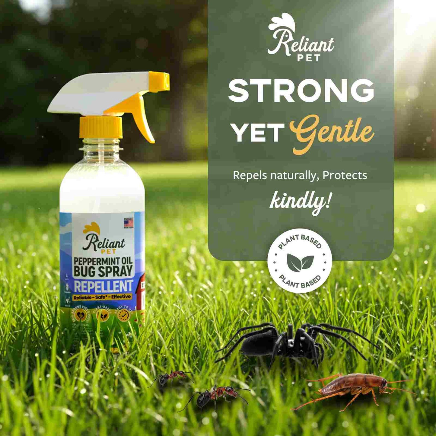 Keep Pests Out Naturally: Safe Peppermint Oil Bug Spray for Your Home