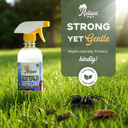 Keep Pests Out Naturally: Safe Peppermint Oil Bug Spray for Your Home
