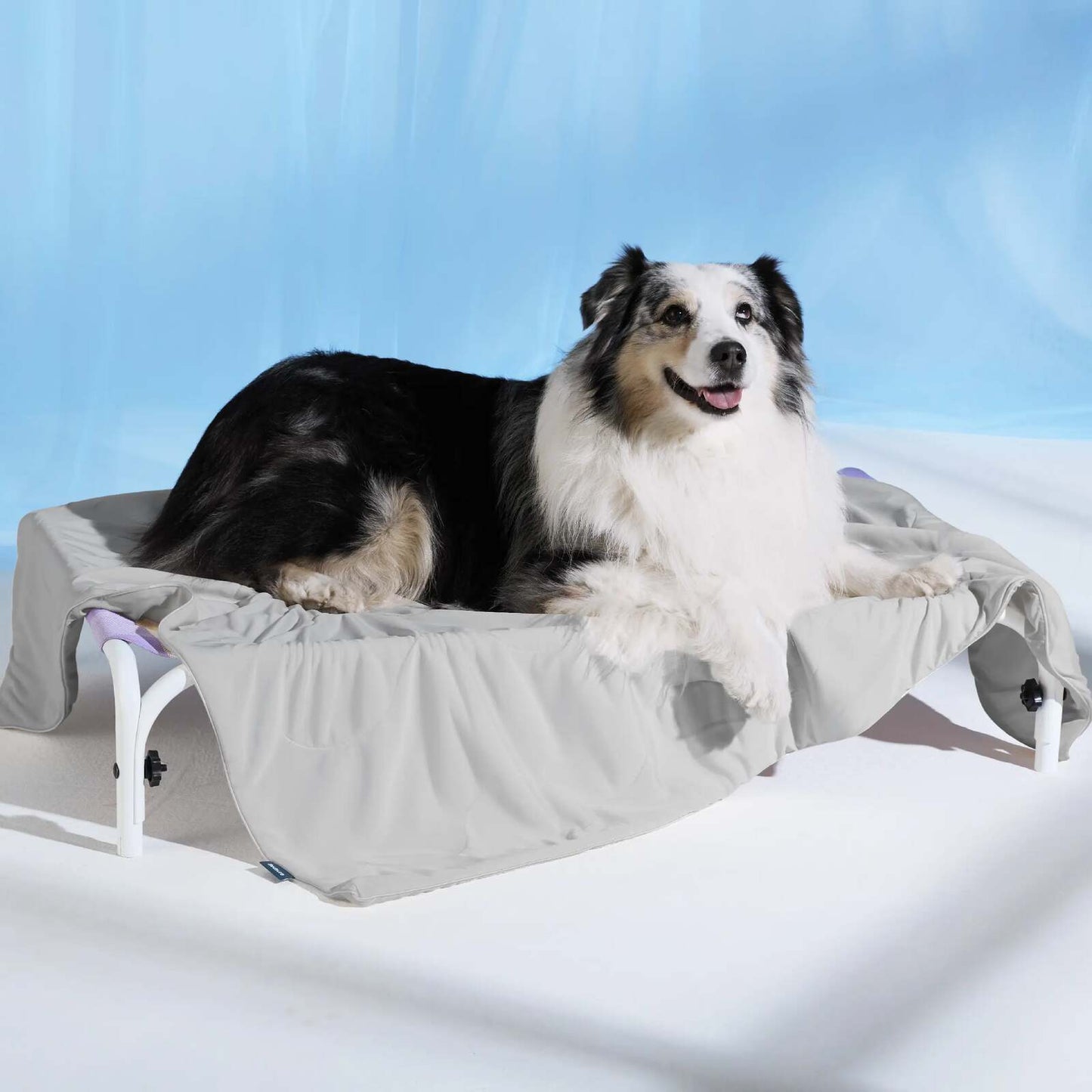 Instant Q-Max>0.4 Pet Cooling Mat – Chemical-Free Summer Crate Bed