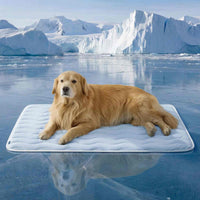 Thin Mat-Blue