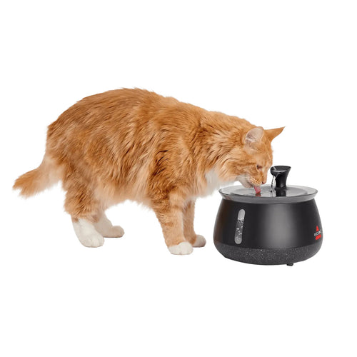 Quiet Filtered Pet Water Fountain