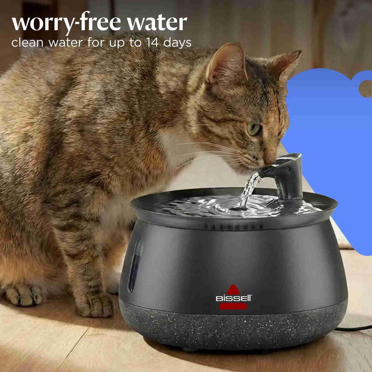 Quiet Filtered Pet Water Fountain