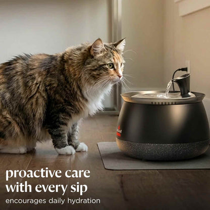 Quiet Filtered Pet Water Fountain