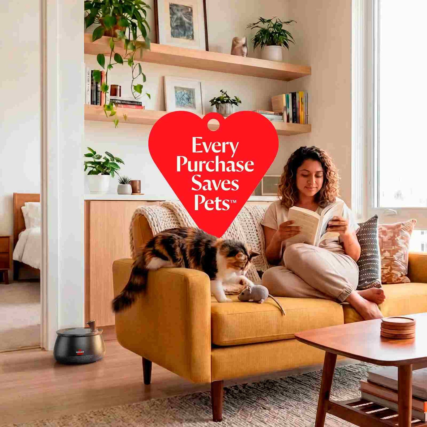 Quiet Filtered Pet Water Fountain