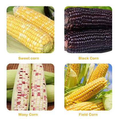 [BUY 1 GET 1 FREE] Commercial Steel Corn Peeler