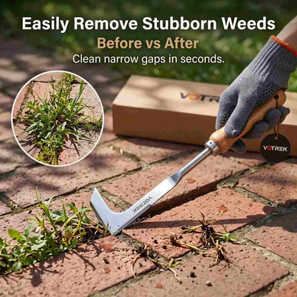[BUY 1 GET 1 FREE] 3-Edge Stainless Steel Crevice Weeder Kit