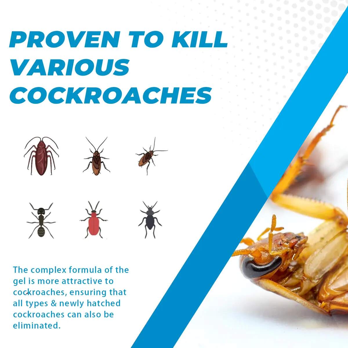[BUY 1 GET 1 FREE] Precision-Tip Cockroach Gel Bait