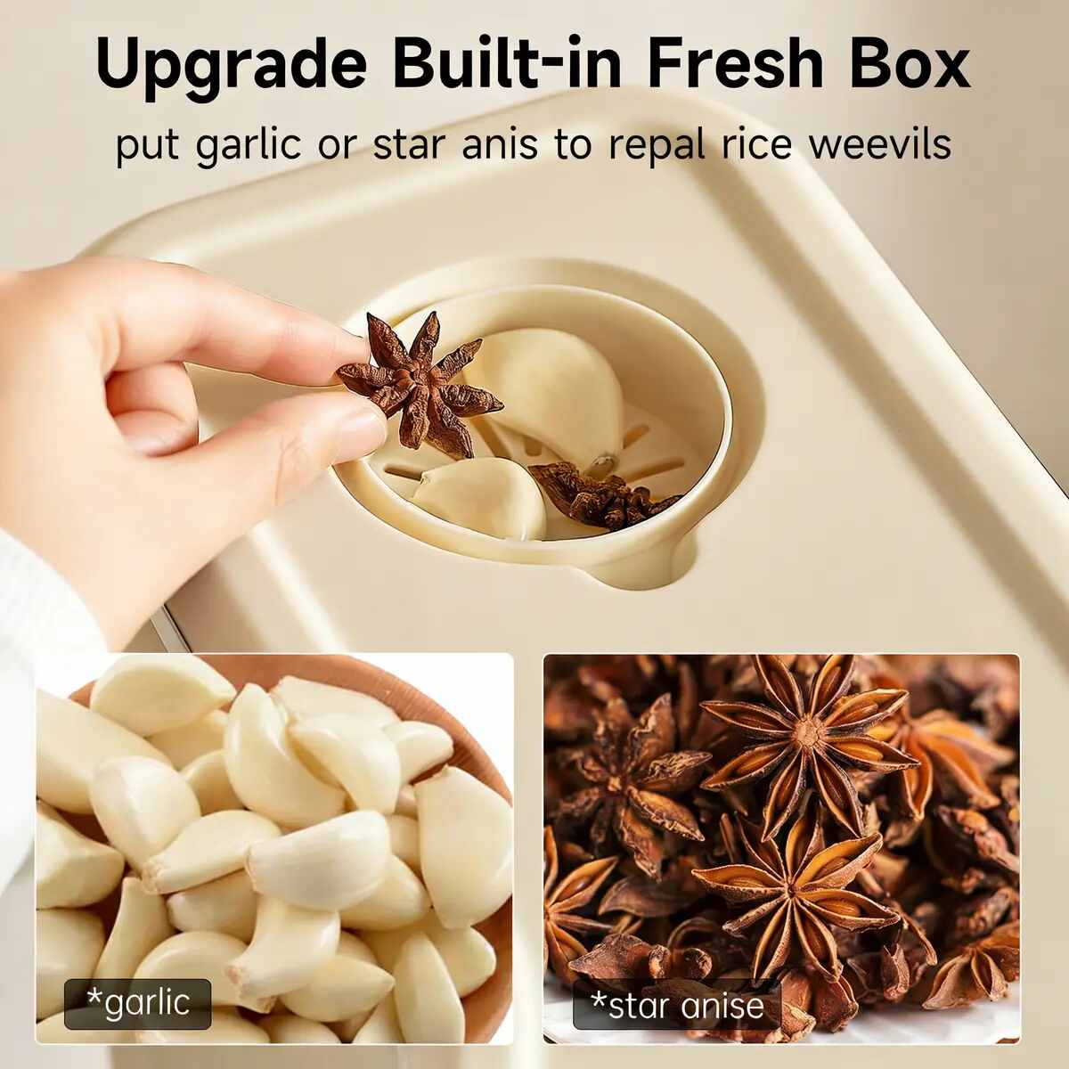Airtight Pest-Block Grain & Spice Container