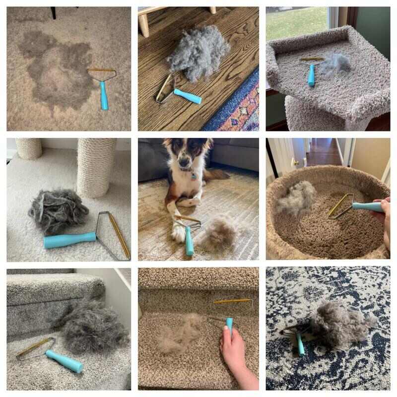 [BUY 1 GET 1 FREE] Reusable Pet Hair Removal Tool