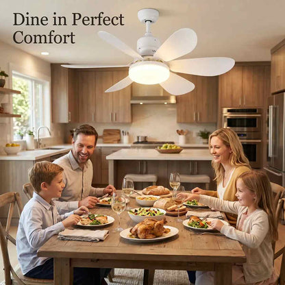 Screw-In Dimmable E27 LED Ceiling Fan Light with Remote Control