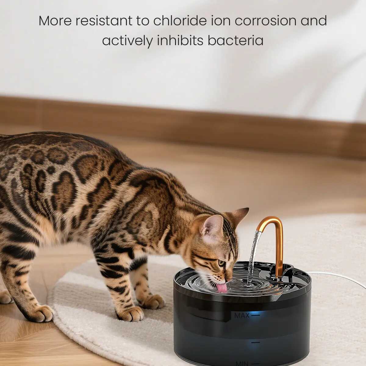 Silent Filtered Cat Water Fountain