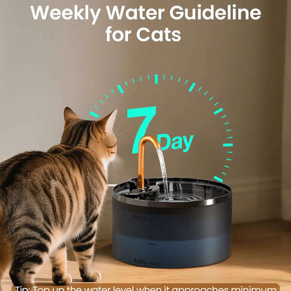 Silent Filtered Cat Water Fountain