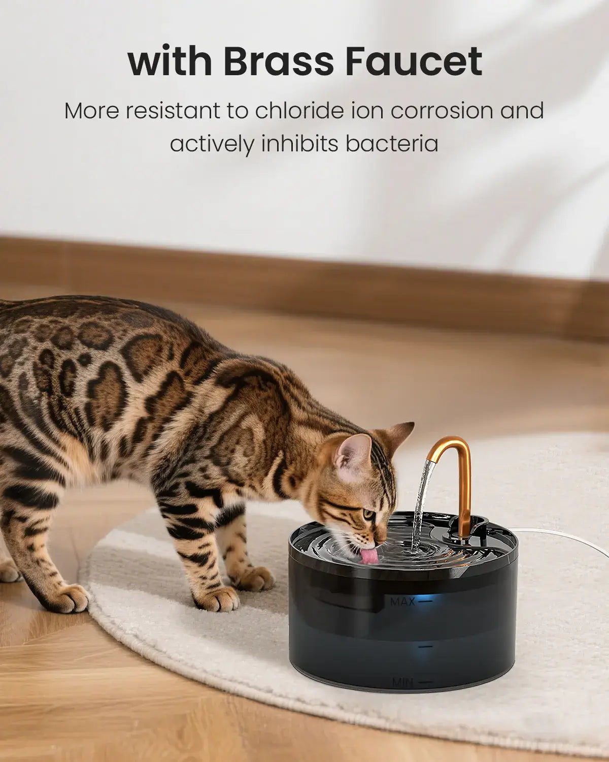 Fresh Flowing Water Cats Naturally Love