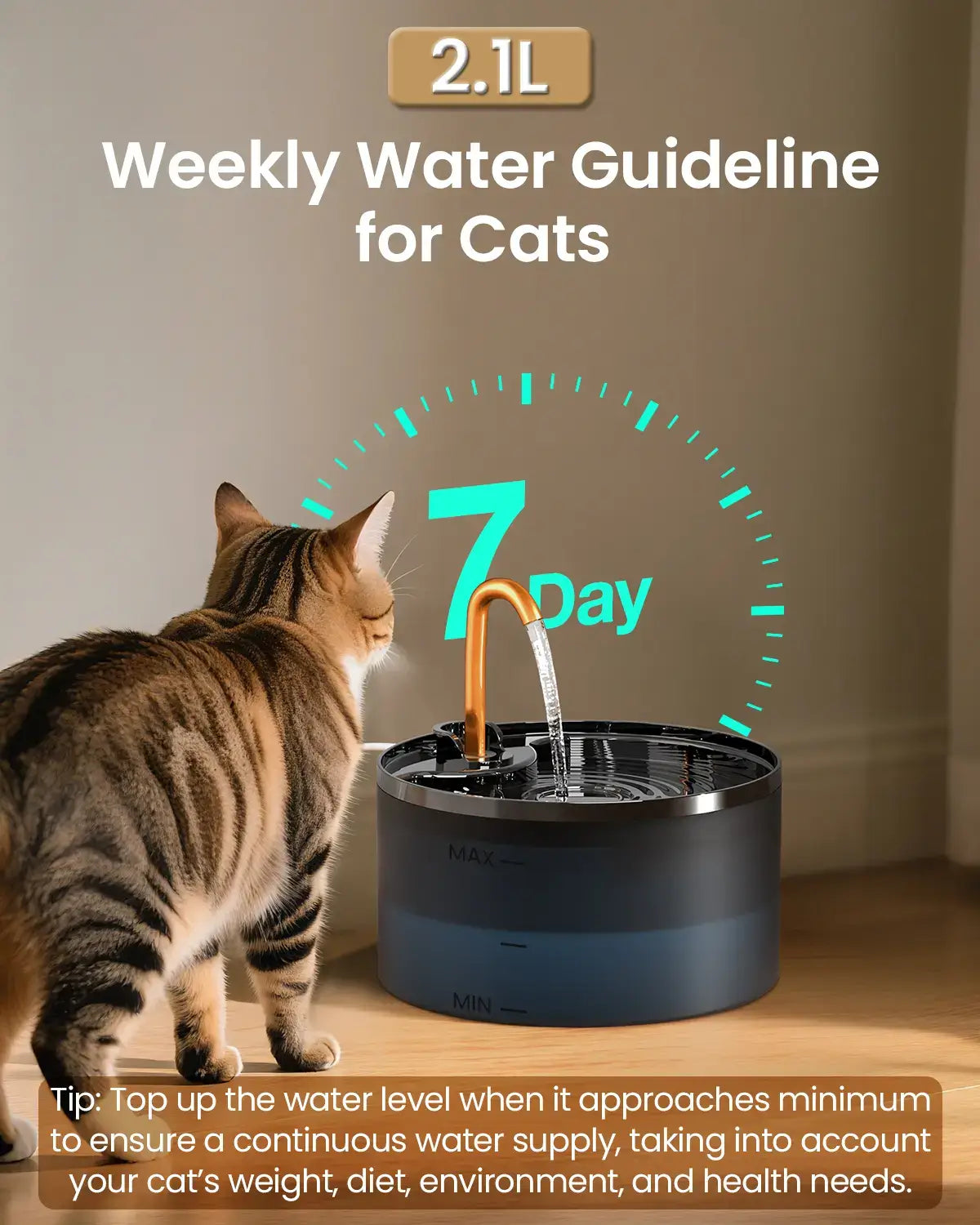 Fresh Flowing Water Cats Naturally Love