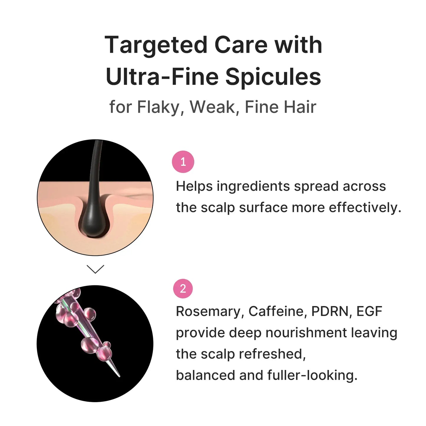 Revitalize Your Scalp & Regrow Thicker, Fuller Hair