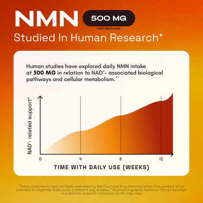 Cata-Kor NMN Supplement – 1000 mg