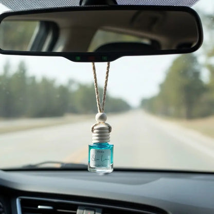 R&W CO. Car Air Fresheners — 3 Random Scents