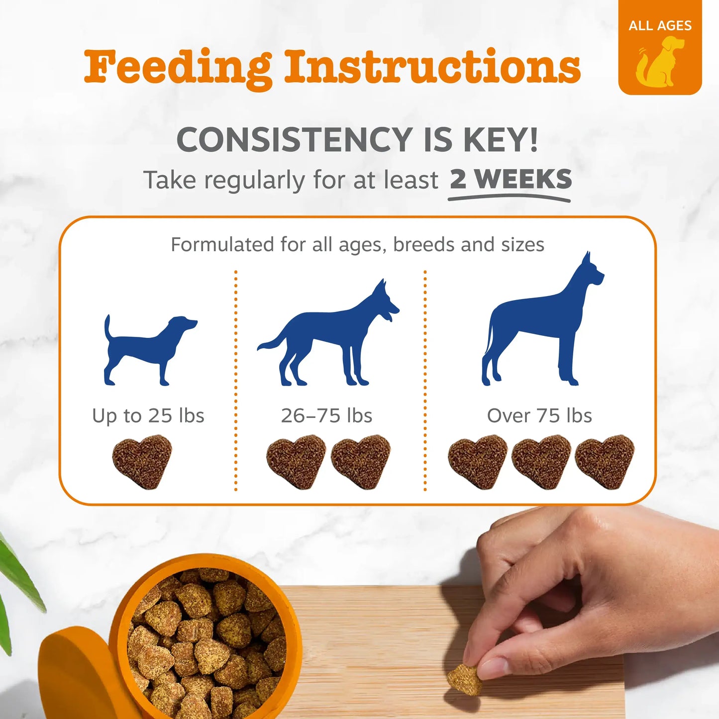 8-in-1 Daily Support Soft Chews for Total Canine Wellness