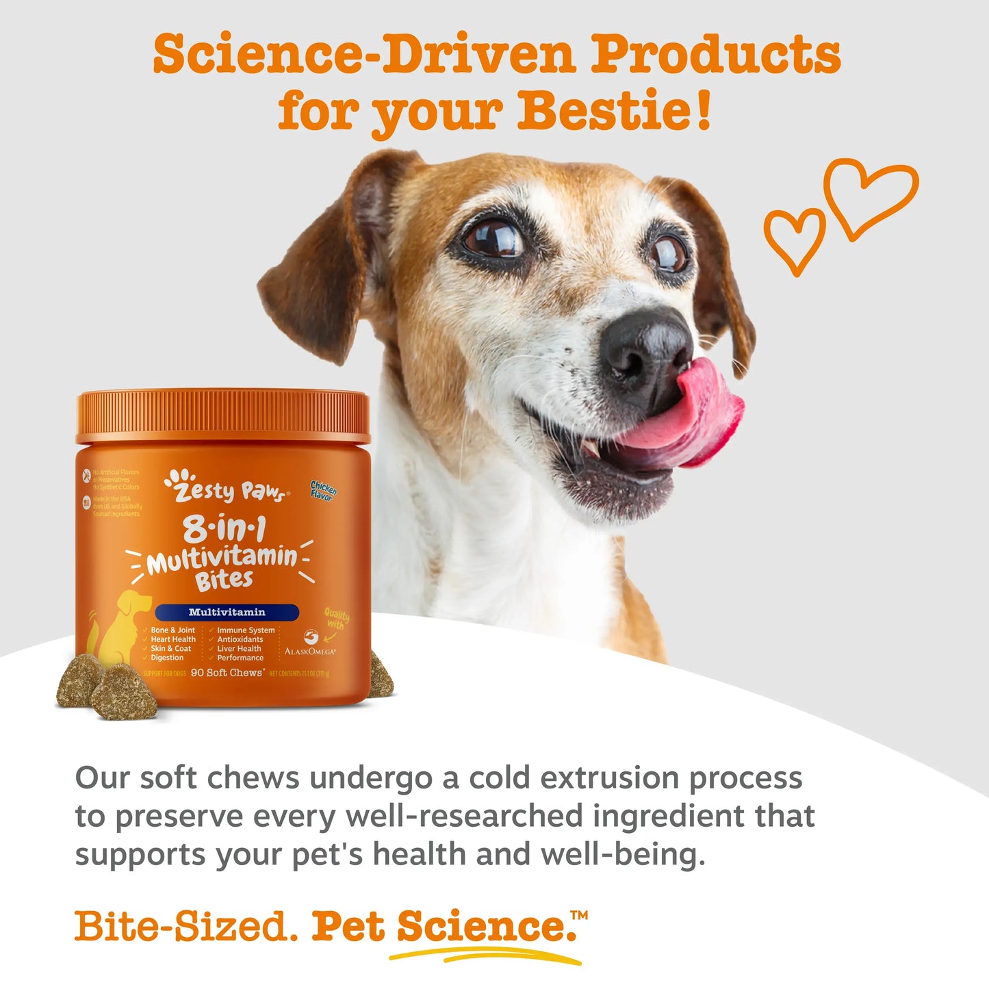 8-in-1 Daily Support Soft Chews for Total Canine Wellness
